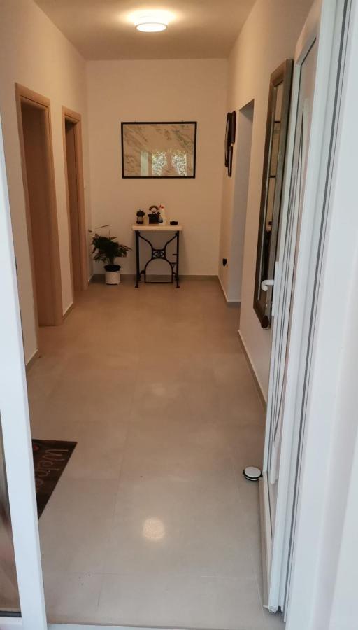 Apartmani Daniela Murter Zewnętrze zdjęcie